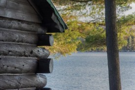 Log Building thumbnail