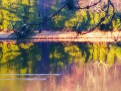 28_lisasaprilphoto.jpg
