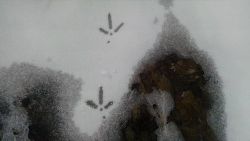 30_img_20170401_091558350.jpg