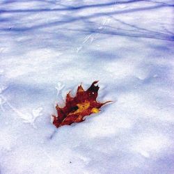 32_img_7434.jpg