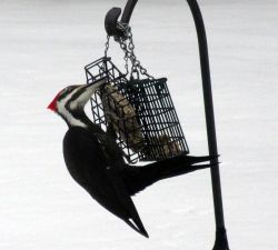 36_img_1927.jpg