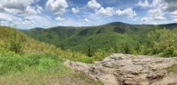 Mount greylock view Photo: Sharon Bombard
