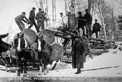 Adirondack_Logging_2.jpg