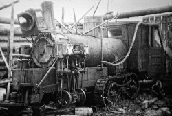 Adirondack_Logging_4.jpg