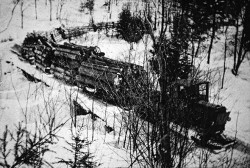 Adirondack_Logging_5.jpg