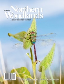 Photo by Sparky Stensaas aut25-cover.jpg cover 