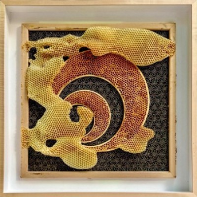 beaded-circles-honey-w.jpg cover 