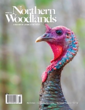 Photo by Jim Block COVER_NW_SPR19_web.jpg cover