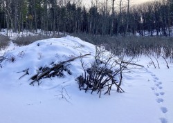 Tracks lodge Photo: Karinne Heise