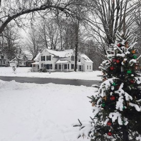 Northern woodlands office thumbnail