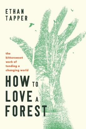 How to love a forest thumbnail