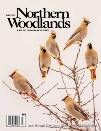 Photo by Jim Block Northern woodlands winter issue cover  by Jim Block