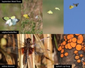 september-week-3-25.jpg thumbnail