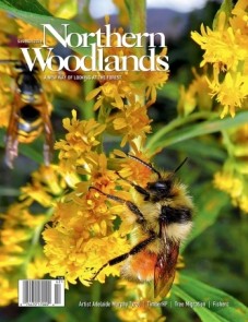 Photo by Susan Morse Summer magazine cover  by Northern Woodlands