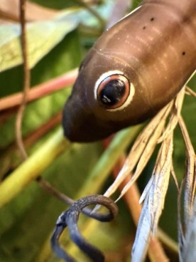 Mystery photo thumbnail