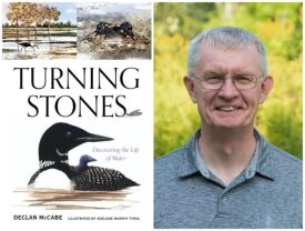 Turning Stones with Declan McCabe thumbnail