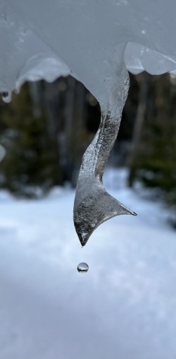 Fish ice Photo: Ruth Dirlam