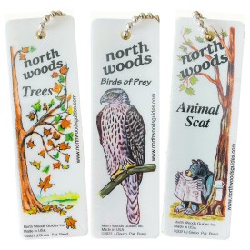 {title:attr_safe} thumbnail