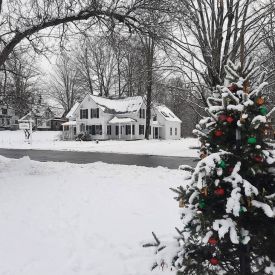 Northern woodlands office thumbnail