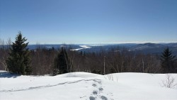 Firetower Photo: Amy Johnson