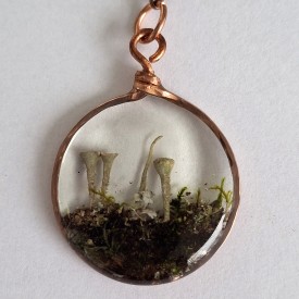 {title:attr_safe} thumbnail