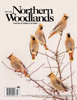 Photo by Jim Block Northern woodlands winter issue cover  by Jim Block