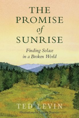 Promise of Sunrise Bookcover thumbnail