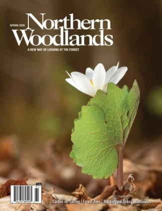 Photo by Bryan Pfeiffer Spring magazine cover  by Bryan Pfeiffer