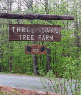 threeoaks_treefarm_signage.jpg thumbnail