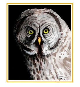 Great gray owl thumbnail