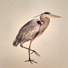 {title:attr_safe} thumbnail