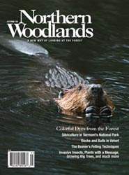 Cover of Autumn 2009