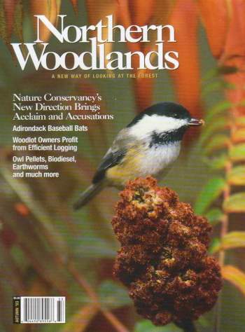 Cover of Autumn 2003