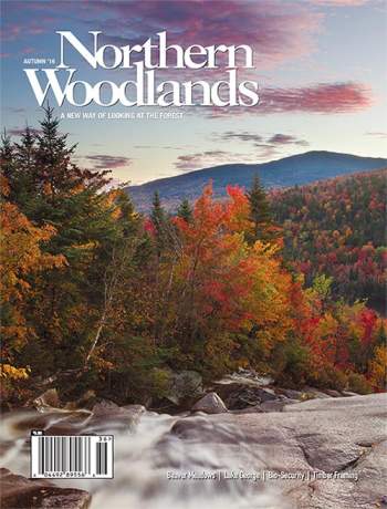 Cover of Autumn 2016