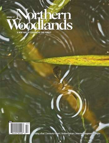 Cover of Spring 2017