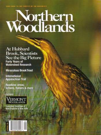 Cover of Spring 2000