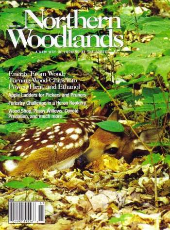 Cover of Spring 2006