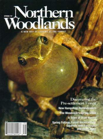 Cover of Spring 2007