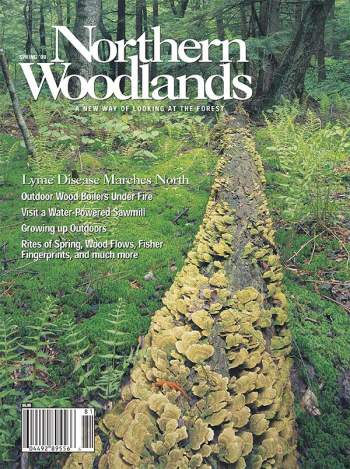Cover of Spring 2008