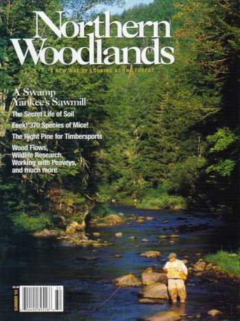 Cover of Summer 2003