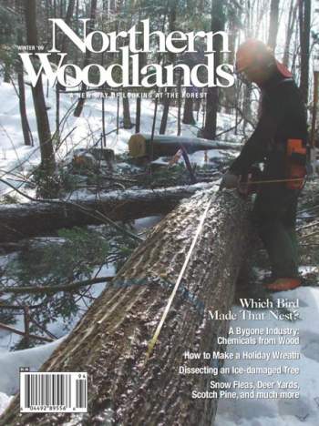 Cover of Winter 2009
