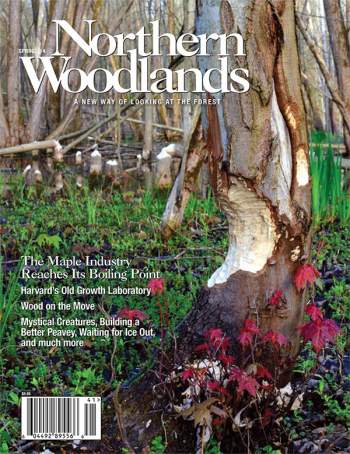 Cover of Spring 2014