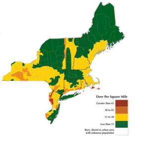 Many experts point to 15 to 20 deer per square mile as the level at which the negative environmental impacts of deer can be seen - this map gives a very general sense of regional density. 