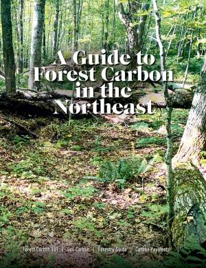 A Guide to Forest Carbon in the Northeast thumbnail