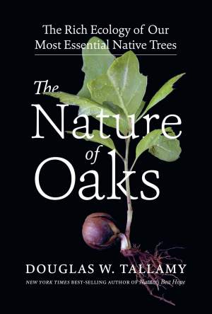 The Nature of Oaks thumbnail